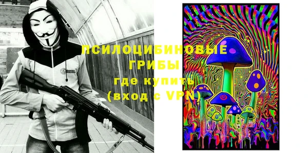 марки lsd Новозыбков