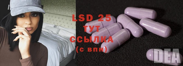 дживик Баксан