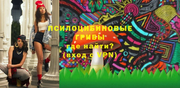 дживик Баксан
