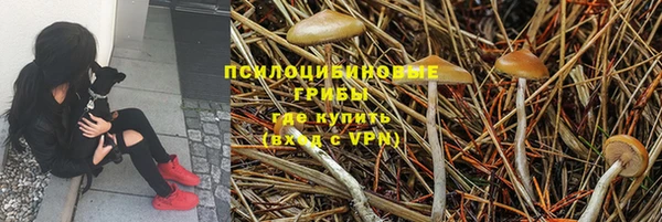 дмт Нягань